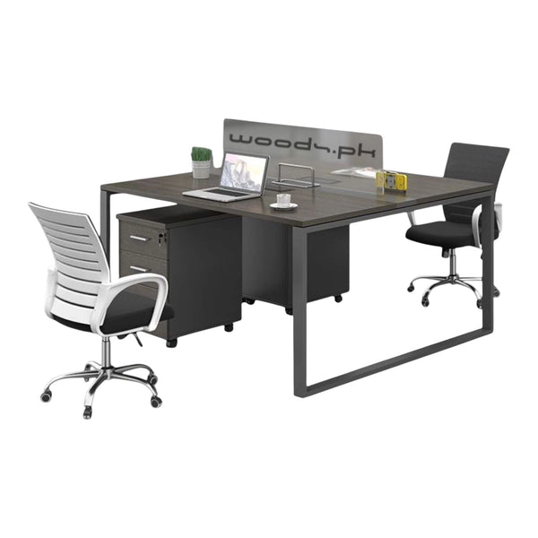 Workstation for two persons 039