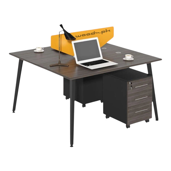 Workstation for two persons 033