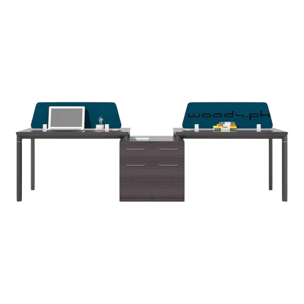Workstation for two persons 012