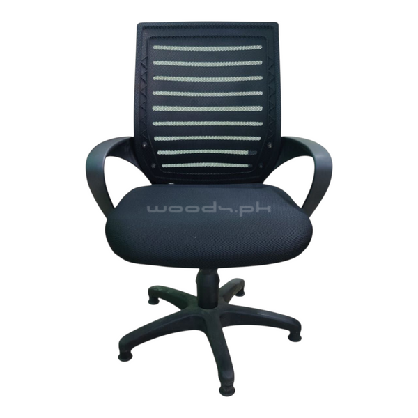 Computer Chair 22