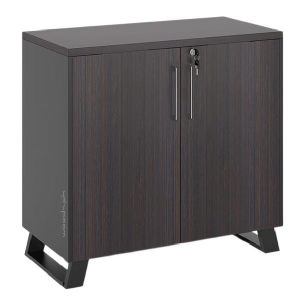 File Cabinet 01