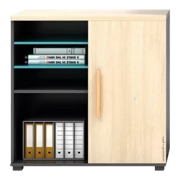 File Cabinet 13