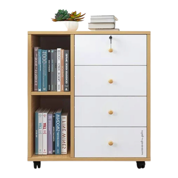 File Cabinet 17